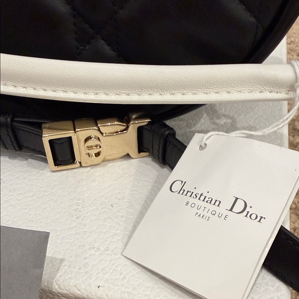 Christian Dior Dior Leather Shoulder / Crossbody Bag Brand New with Tags - Picture 6 of 10